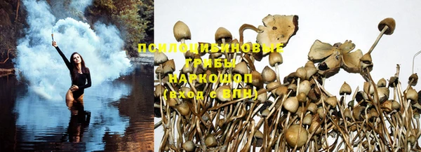 дживик Абинск