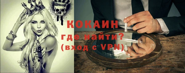 твердый Абаза