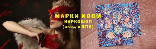 твердый Абаза