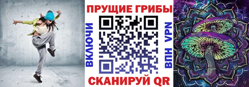 продажа наркотиков  Кисловодск  omg   Галлюциногенные грибы Psilocybine cubensis 
