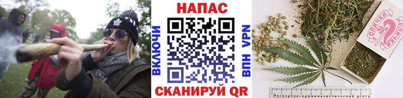 Конопля OG Kush  Кисловодск 